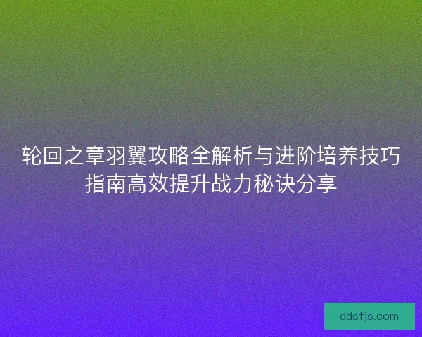 轮回之章羽翼攻略全解析与进阶培养技巧指南高效提升战力秘诀分享